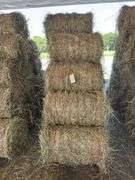 15 Mini Round Bales 1st Mix (28"x20")
