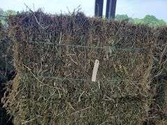 10 1st Alfalfa Orchard Timothy