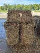 9 Mini Round Bales 1st Mix (28"x20")