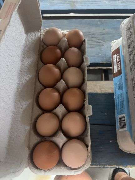 2 Doz Large Brown Eating Eggs