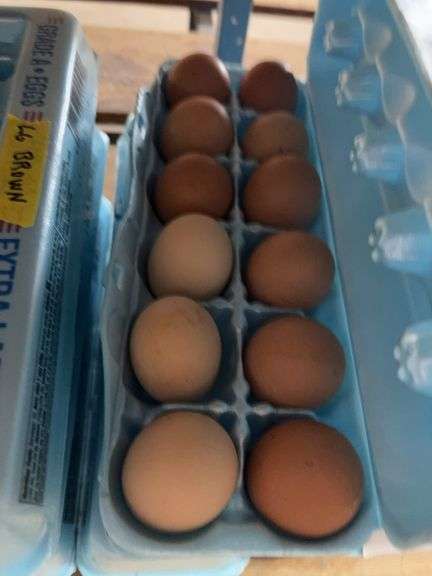 3 Doz Brown Large Eating Eggs