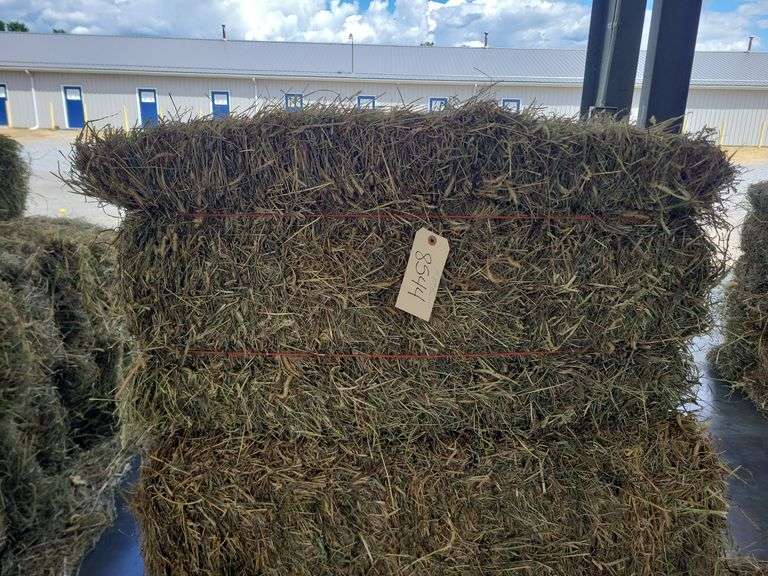 10 2nd Grass