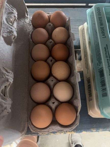 2 Doz Large Brown Eating Eggs