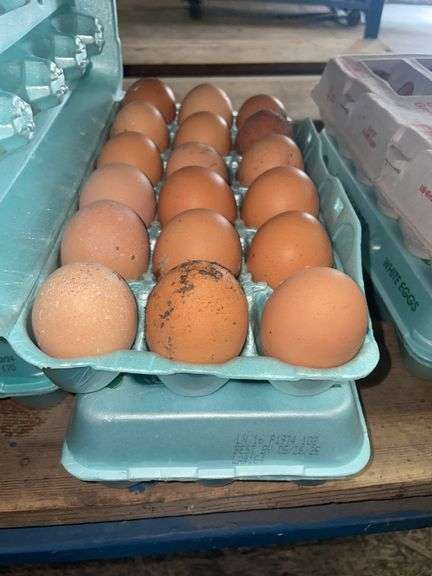 3 Doz Large Brown Eating Eggs