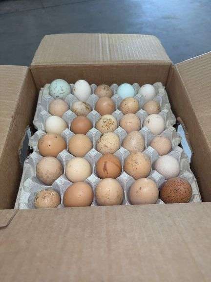 15 Doz Mixed Eating Eggs