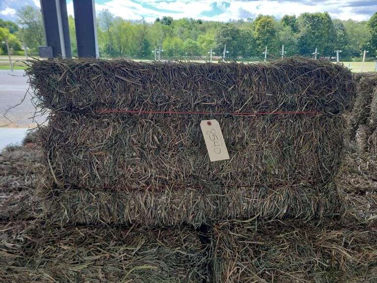 24 2nd Grass Mix