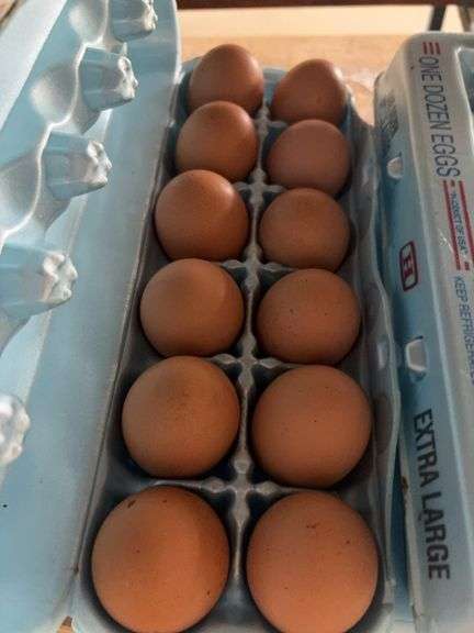 3 Doz Brown Xlarge Eating Eggs