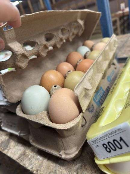 2 Doz Large Mixed Eating Eggs