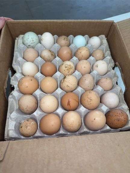 15 Doz Mixed Eating Eggs