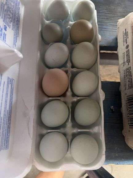 2 Doz Mixed Eating Eggs