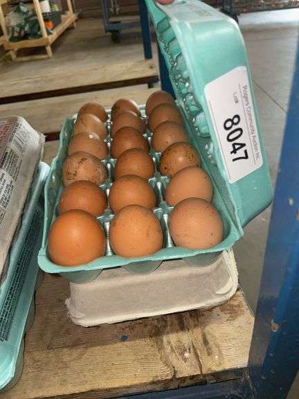 3 Doz Large Brown Eating Eggs
