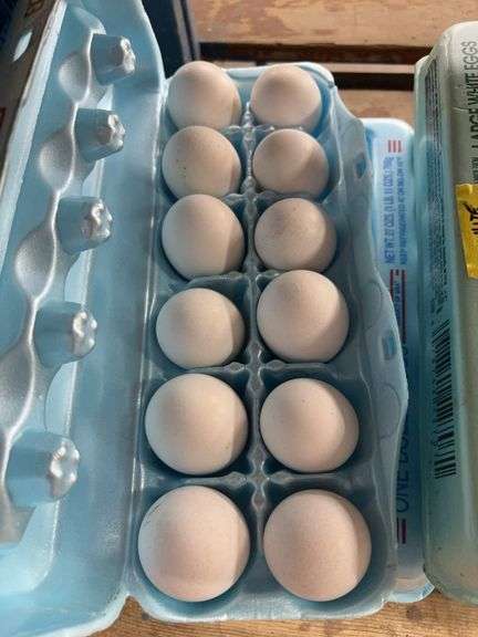 2 Doz White Large & Jumbo Eating Eggs