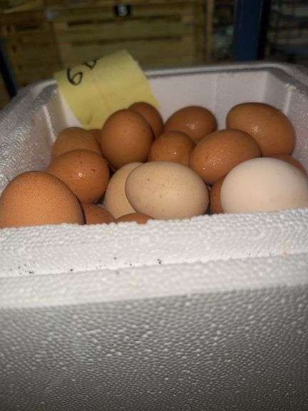 6 Doz Mixed Eating Eggs