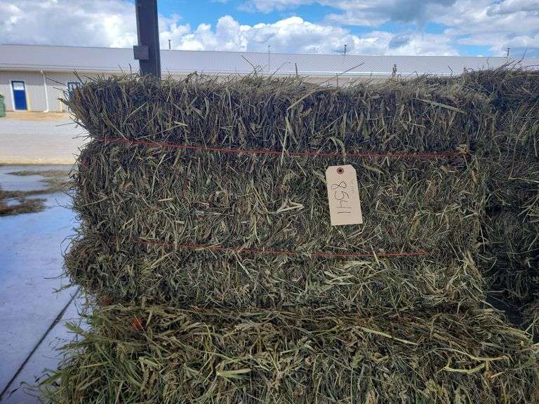 10 3rd Grass