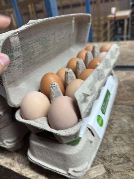 2 Doz Large Brown Eating Eggs