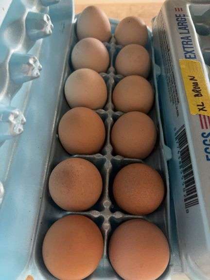 3 Doz Brown Xlarge Eating Eggs