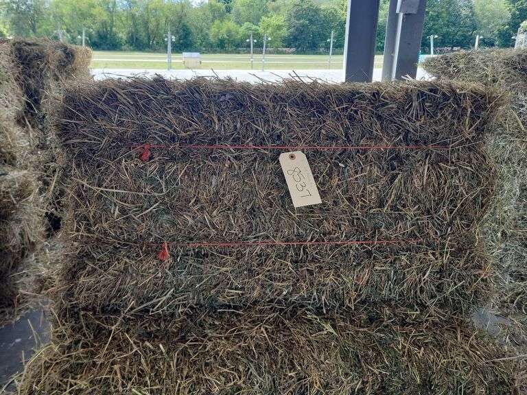 6 2nd Alfalfa Mix