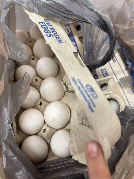 4 Doz White Eating Eggs