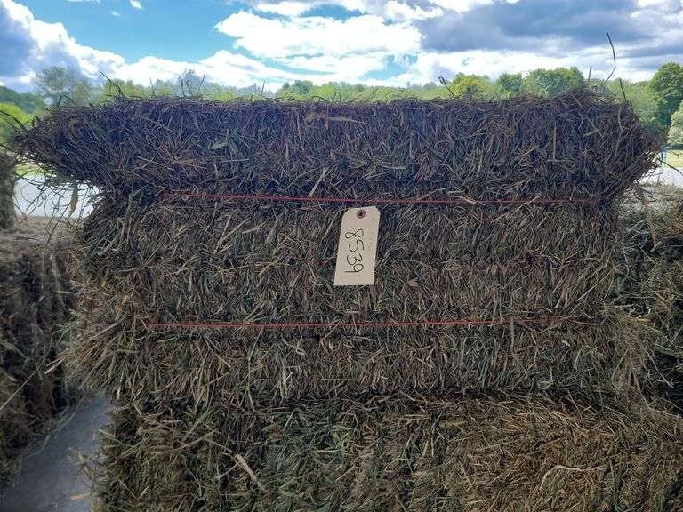 15 2nd Grass