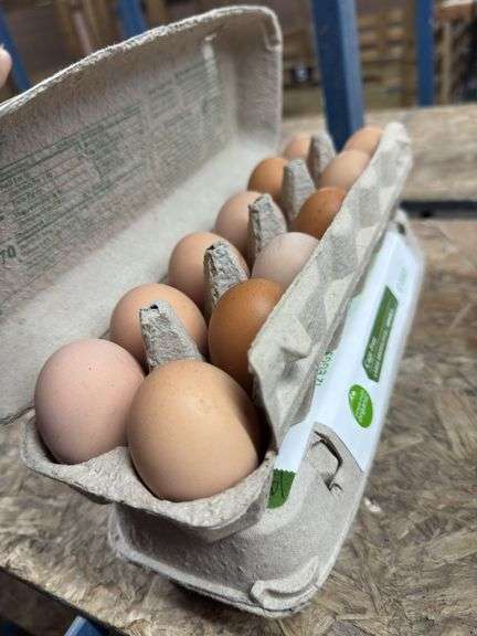 2 Doz Large Brown Eating Eggs