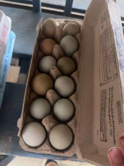 2 Doz Mixed Eating Eggs