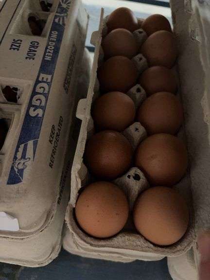3 Doz Large/Med Brown Eating Eggs