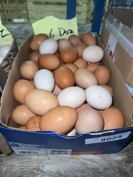 6 Doz Mixed Eating Eggs