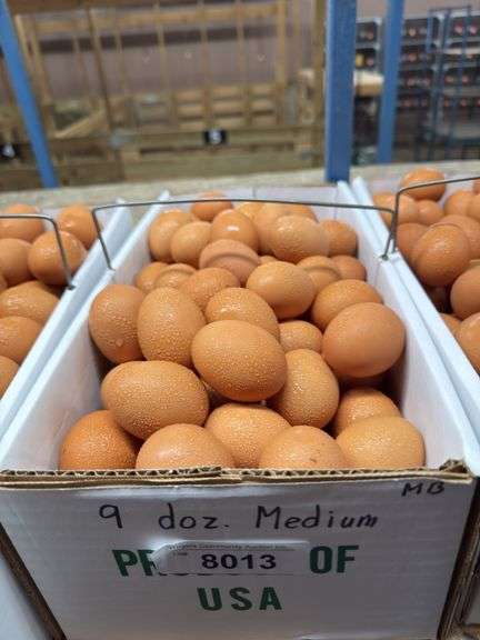 9 Doz Medium Brown Eating Eggs