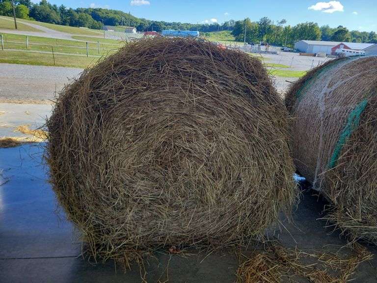 2 Round Bales 1st Timothy & Trefoil (4x4.5)