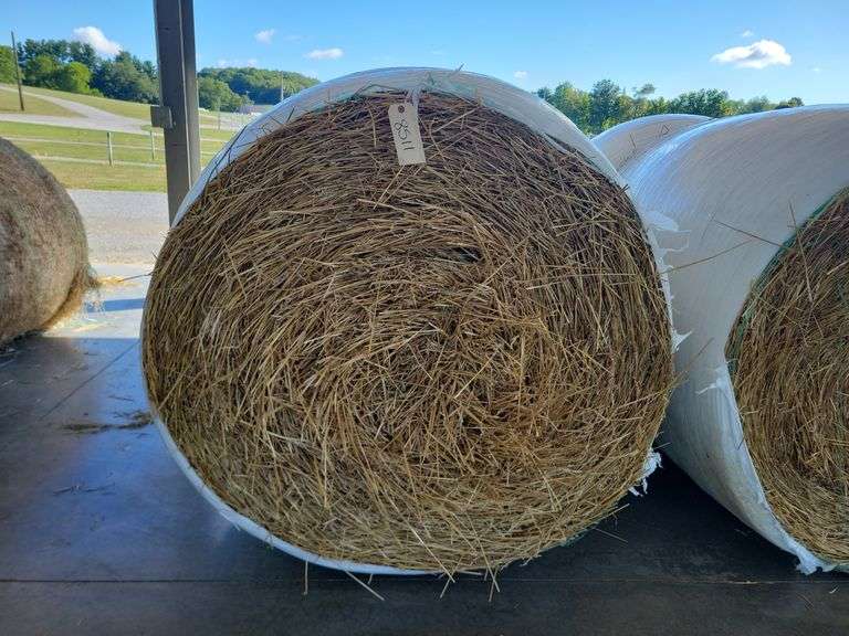 2 Round Bales Straw (4x4.5) Wrapped