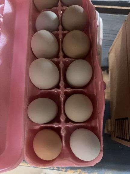4 Doz Mixed Eating Eggs