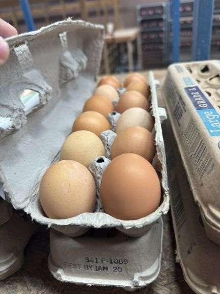 2 Doz Large Brown Eating Eggs