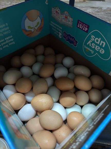 10 Doz Med, Lg & Xlg Eating Eggs - Unwashed