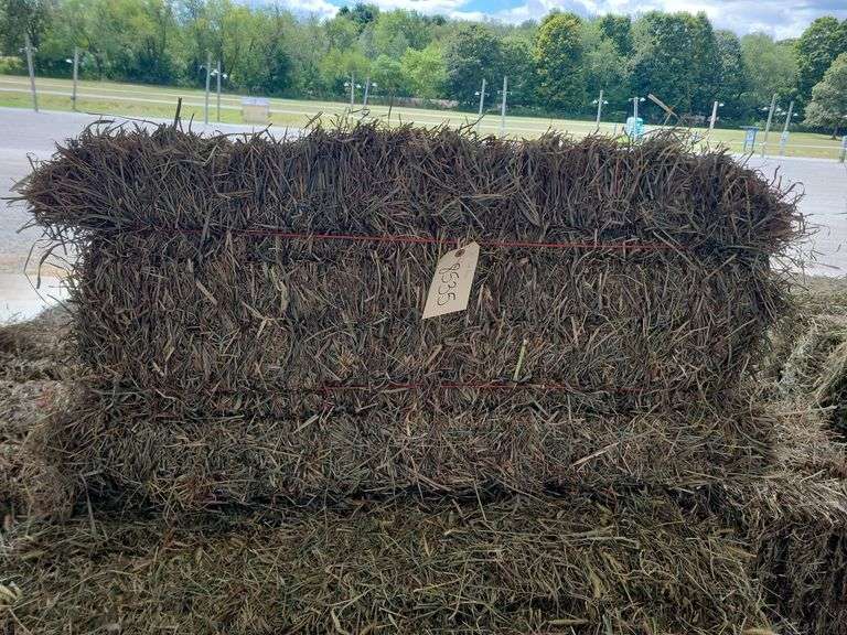 20 3rd Grass