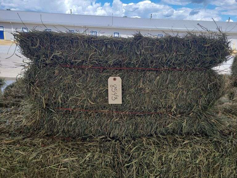 20 3rd Grass