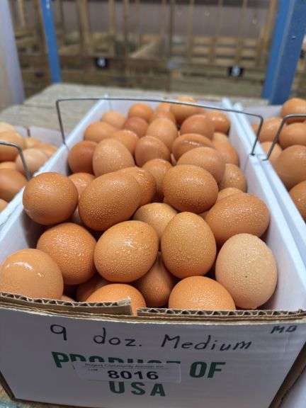 9 Doz Medium Brown Eating Eggs