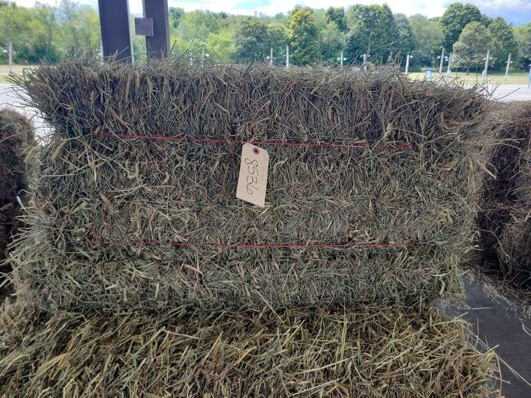 13 3rd Grass