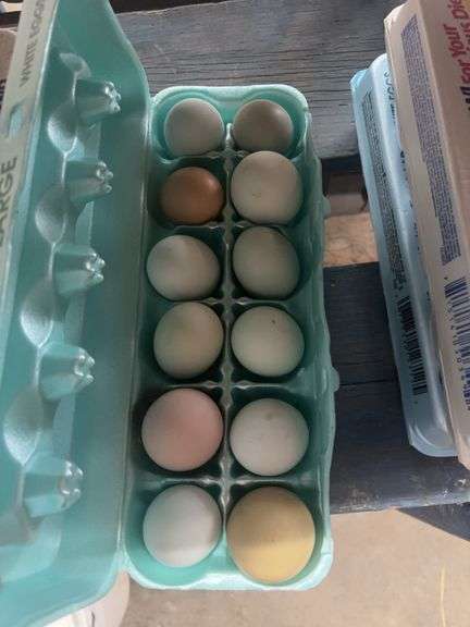 2 Doz Mixed Eating Eggs
