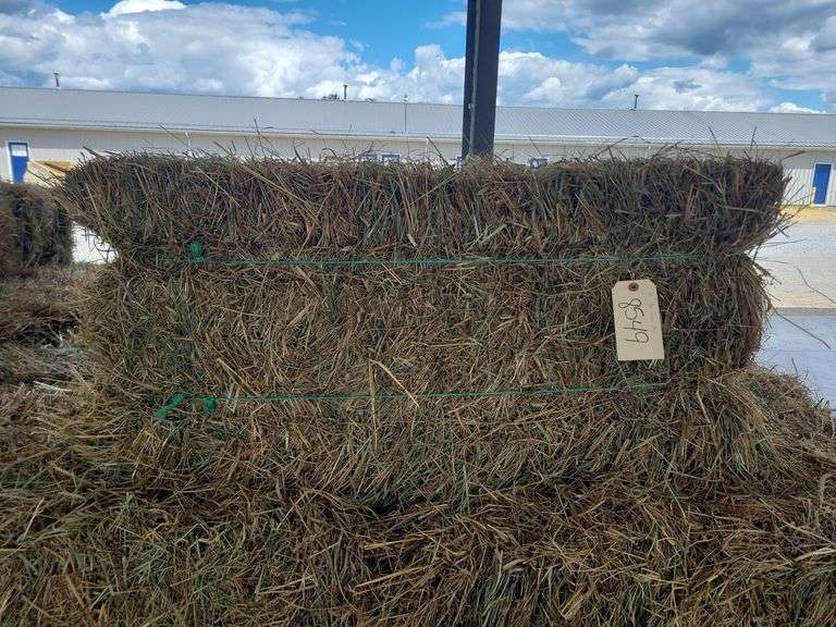 25 1st Grass Mix