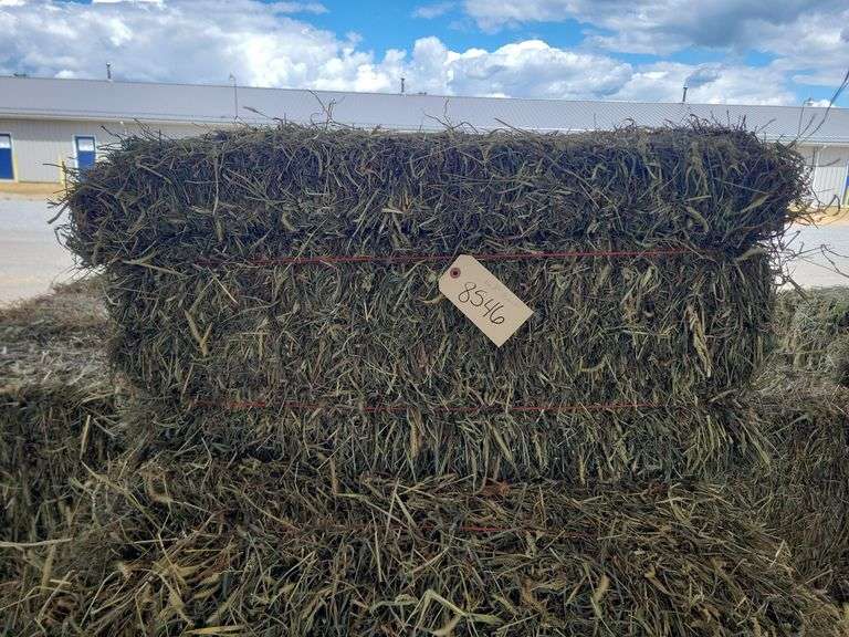 16 3rd Grass
