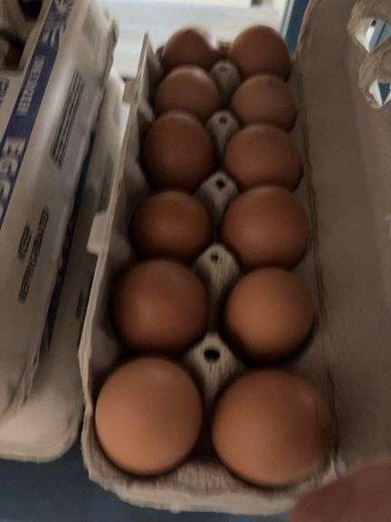3 Doz Large/Med Brown Eating Eggs