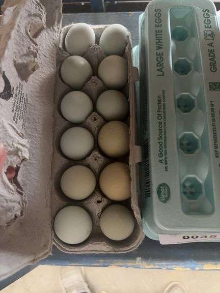2 Doz Mixed Eating Eggs