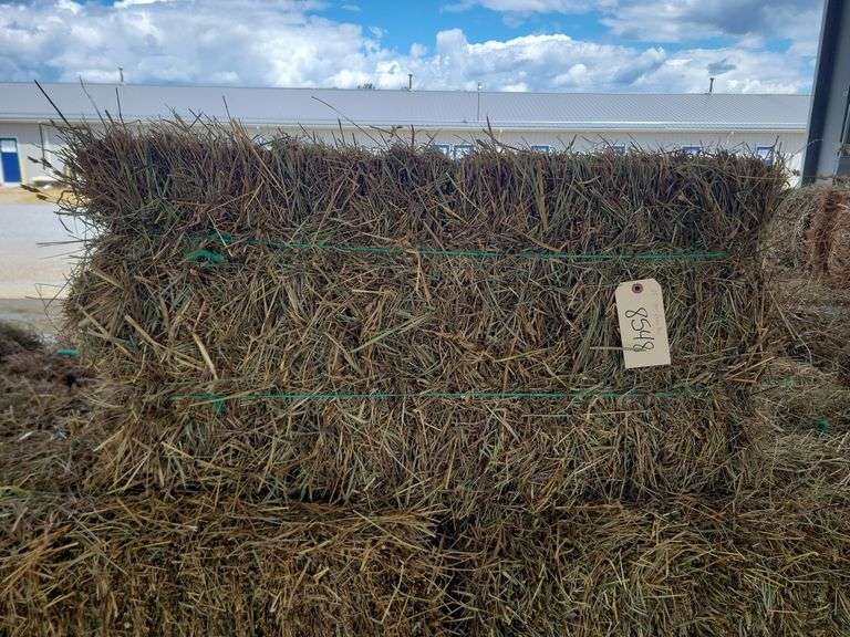 25 1st Grass Mix