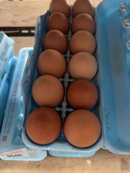 3 Doz Super Jumbo Brown Eating Eggs