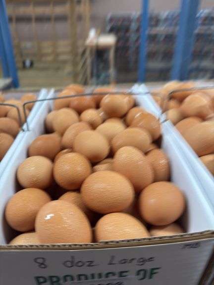 8 Doz Large Brown Eating Eggs