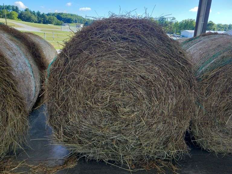 1 Round Bale 1st Timothy & Trefoil (4x4.5)