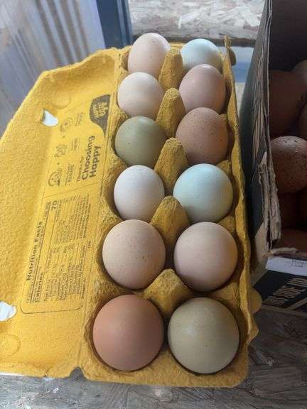 2 Doz Large Mixed Eating Eggs