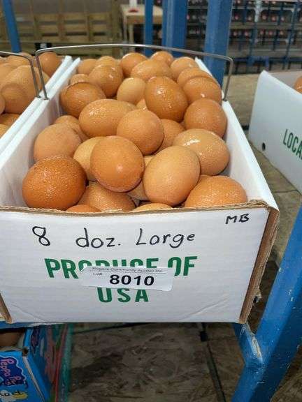 8 Doz Large Brown Eating Eggs