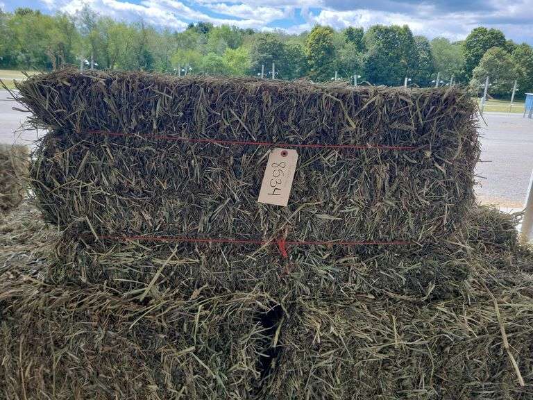 20 3rd Alfalfa Grass