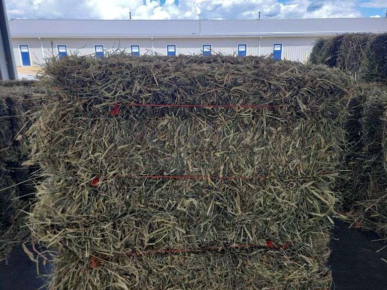 12 3rd Grass